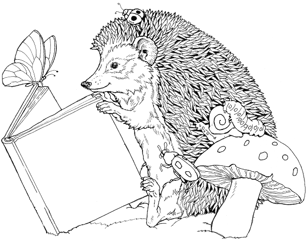 616x502 Animals Reading Books Coloring Picture Of Hedgehog Read A Book