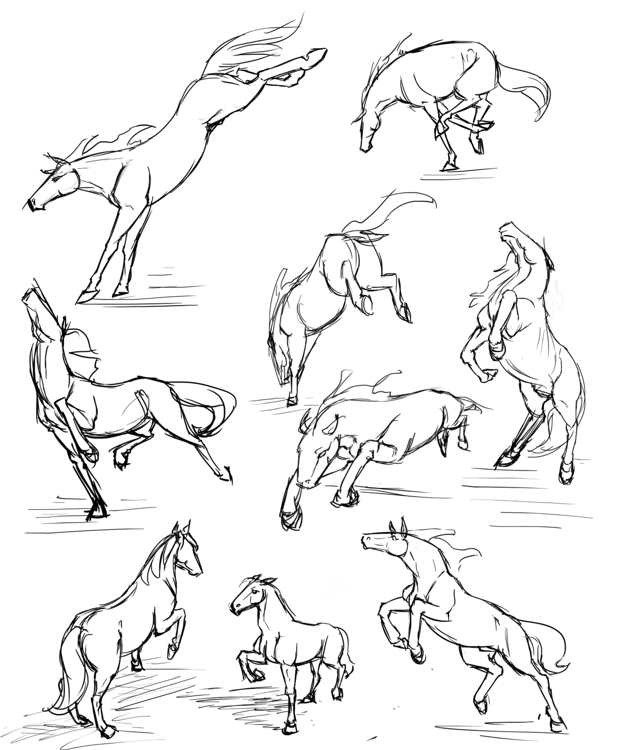 1280x1534 Pin By Cloudy Wolf On Horse Anatomy Animal Drawings