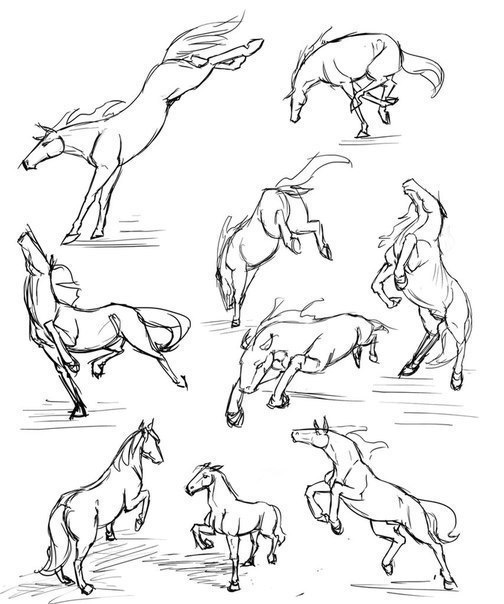 504x604 Pin By Llharona On Learn This You Must, Hmm Book