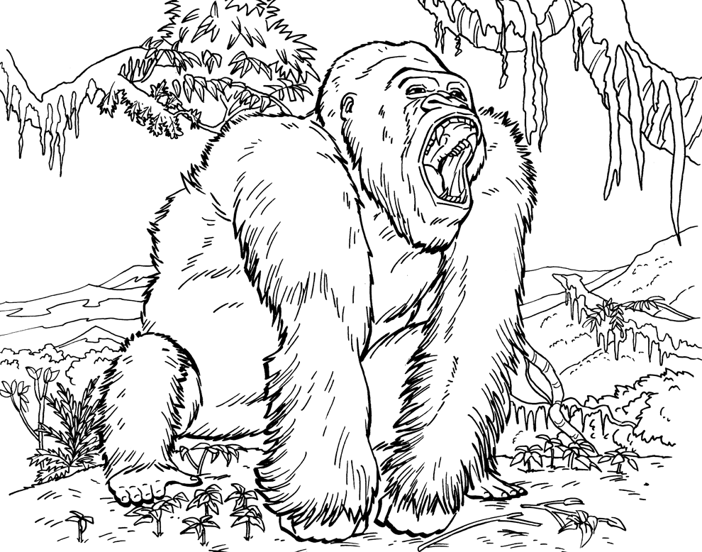 990x778 Cool Coloring Pages Of Animals Animal Coloring Gorilla Coloring