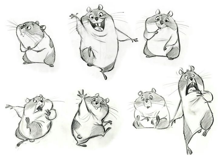 Animal Drawing Cartoon