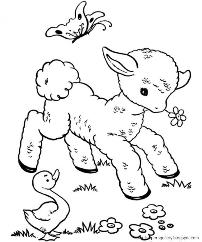 667x800 Cute Animal Drawings For Kids