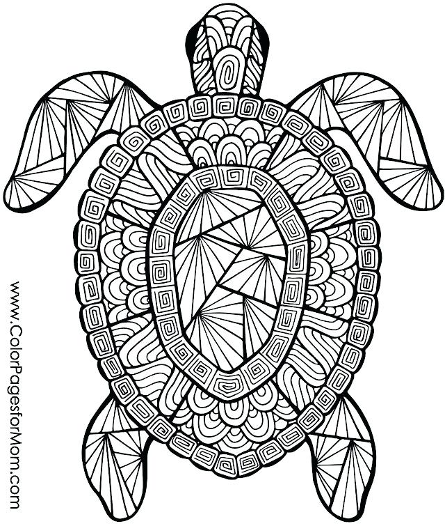 640x755 Coloring Pitchers Of Animals Animal Coloring Page Coloring