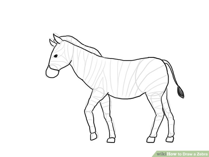 728x546 How To Draw A Zebra (With Pictures)