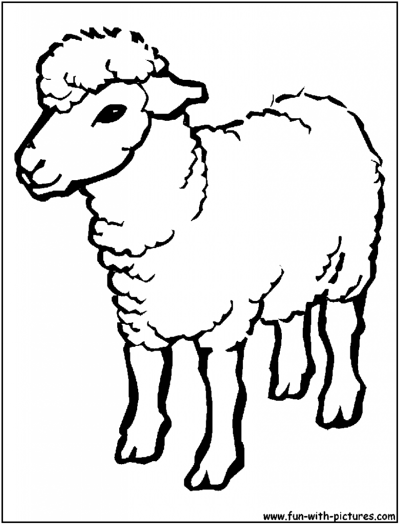 780x1024 Cute Small Sheep Coloring Page Free Printable Pages Animals Desert