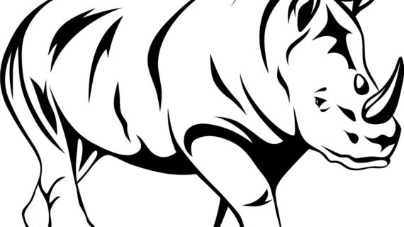 570x320 Outline Drawing Of Animals