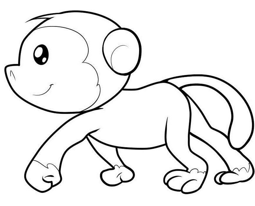 867x700 Outline Drawing Photos Animals. First Create The Outlines