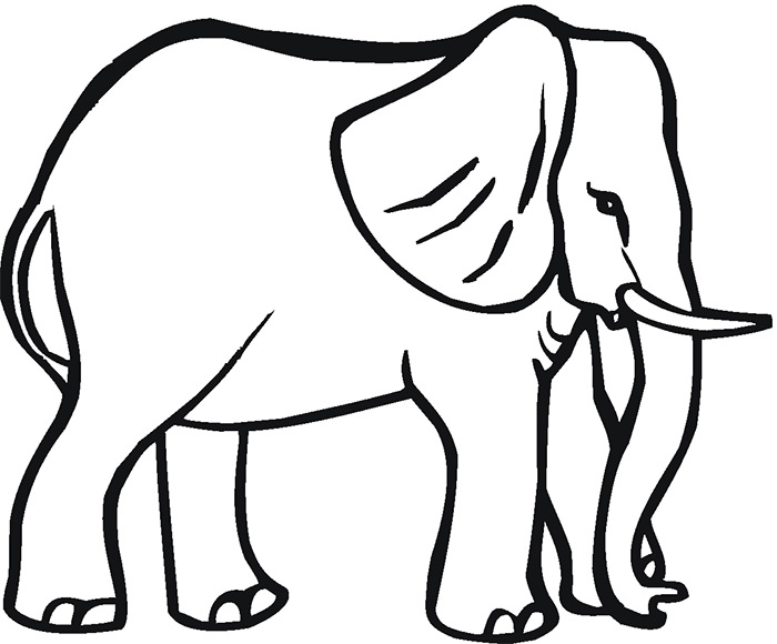 Animal Drawing Outlines at GetDrawings | Free download