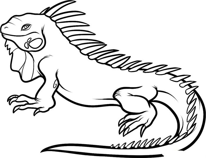 700x537 Animal Colouring Pages Free Download Amp Print! Free Amp Premium