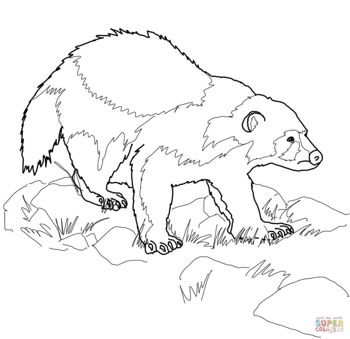 1200x1160 Wolverine Animal Coloring Page Free Printable Coloring Pages
