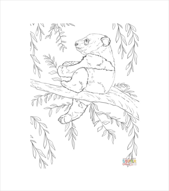 585x661 Baby Animal Template Psd, Eps, Format Download Free