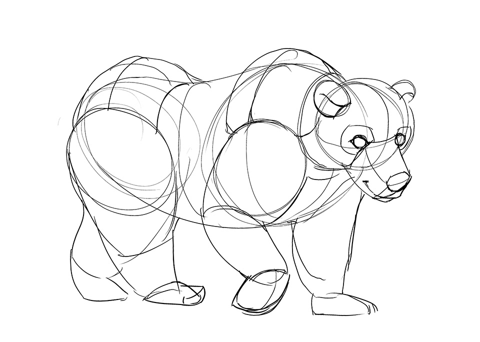 960x684 Lesson 5 Drawing Animals