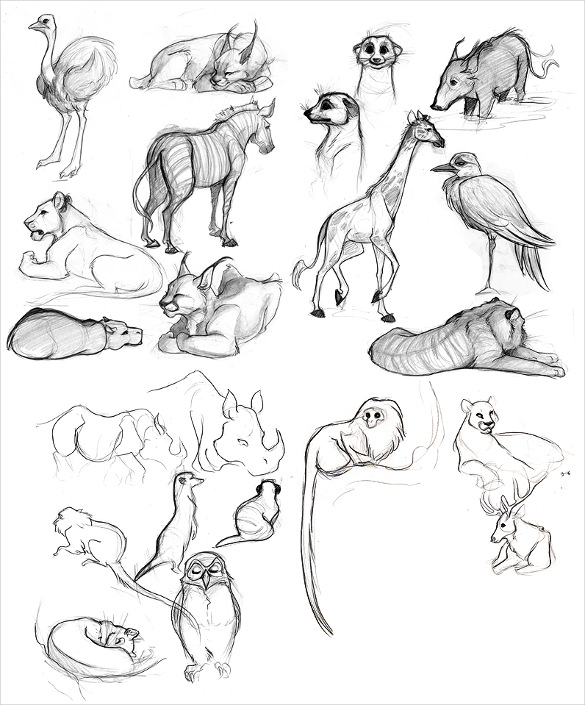 585x705 Animal Drawings Free Psd, Ai, Vector Eps Format Download