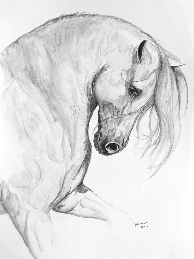 675x900 Beautiful Horse Drawing Art Horse Drawn, Horse