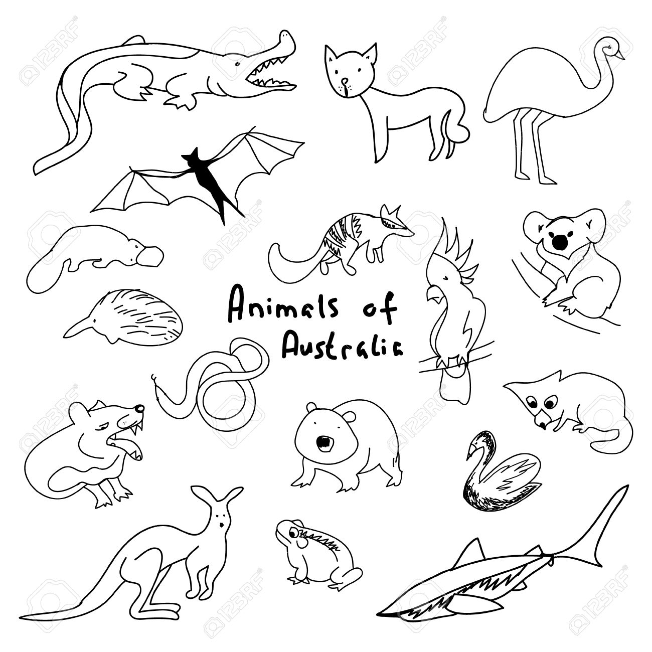 1300x1300 Animals Of Australia (A Set Of Simple Drawings), Cartoon Animals
