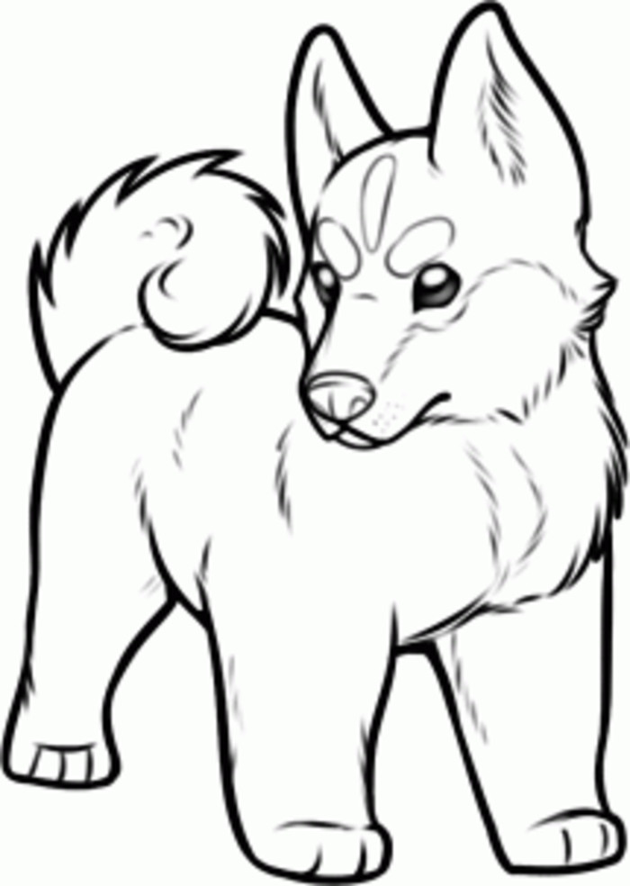 700x984 Pin By Paula Attley On Animals