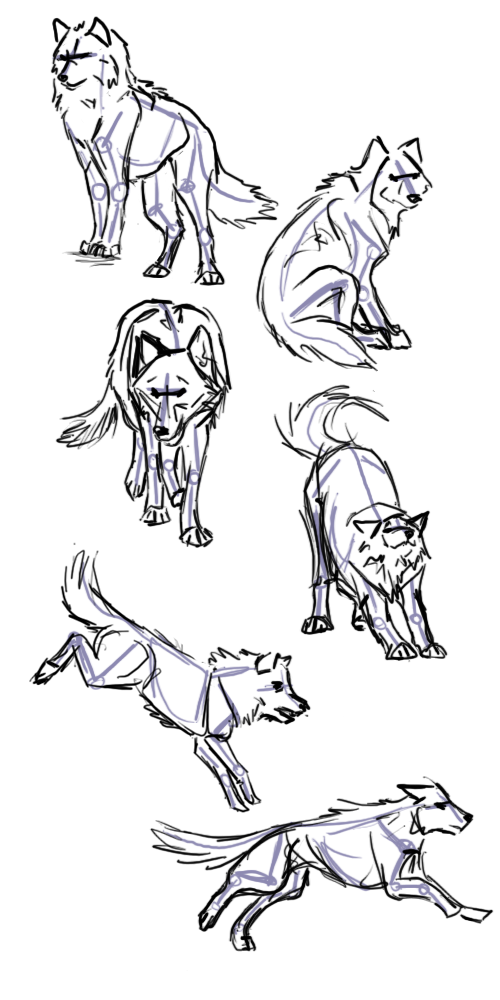 500x1000 Wolf Poses