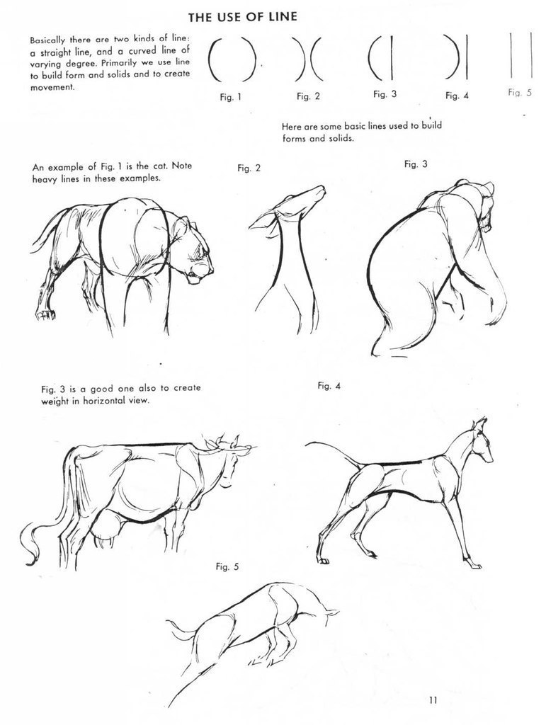 771x1024 Tutorials Drawing Anatomy, Animal
