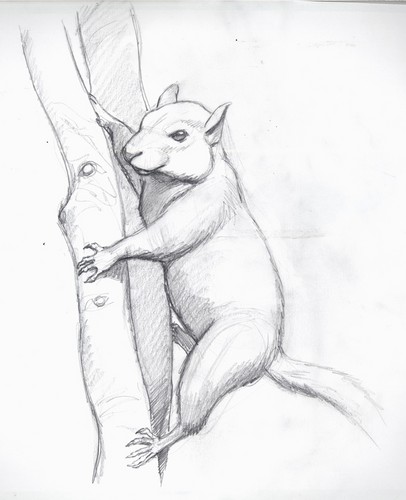 406x500 Drawing Images Drawings Hd Wallpaper And Background Photos (29537214)