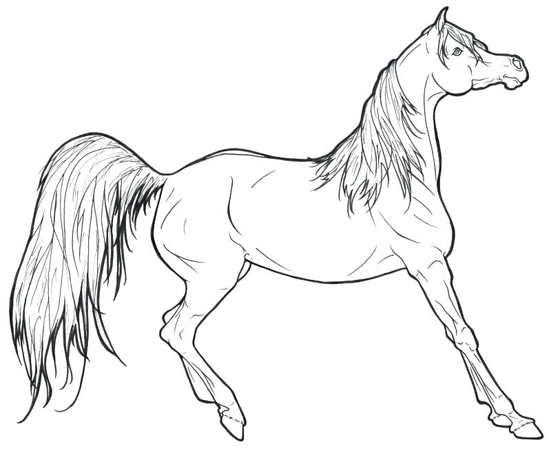 800x653 Beautiful Horse Coloring Pages For Kids Crayola Photo Color And Is