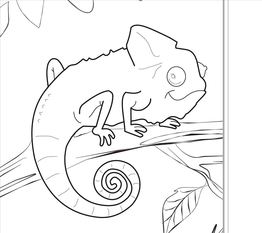 1023x909 Best Zoo Animal Coloring Pages Wallpapers Unknown Resolutions