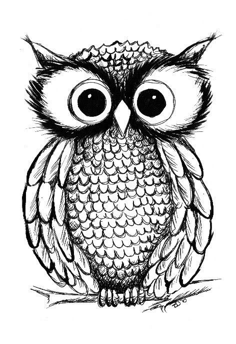 472x686 Cute!! Love The Big Eyes Owls! Big Eyes, Eye And Big