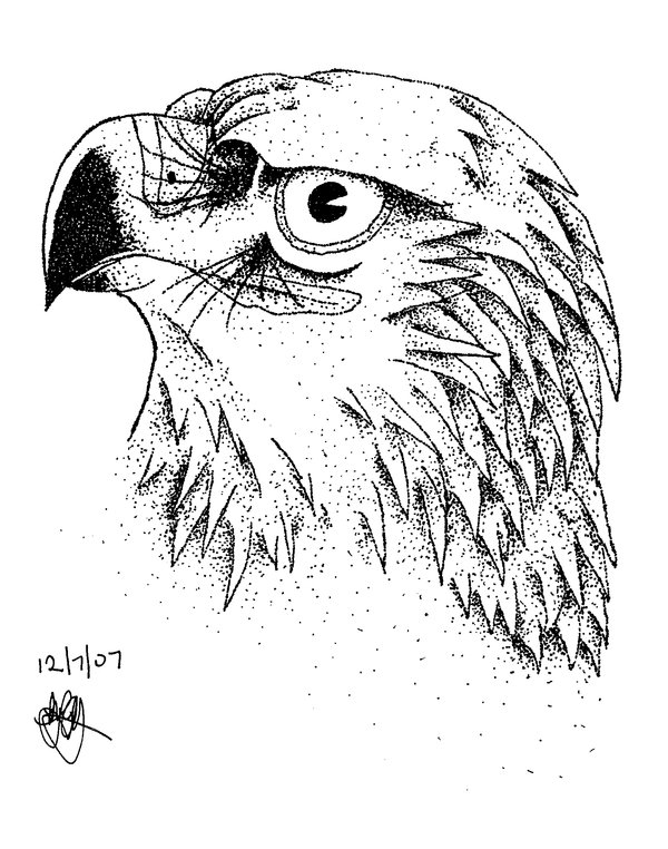 600x762 Eagle Portrait