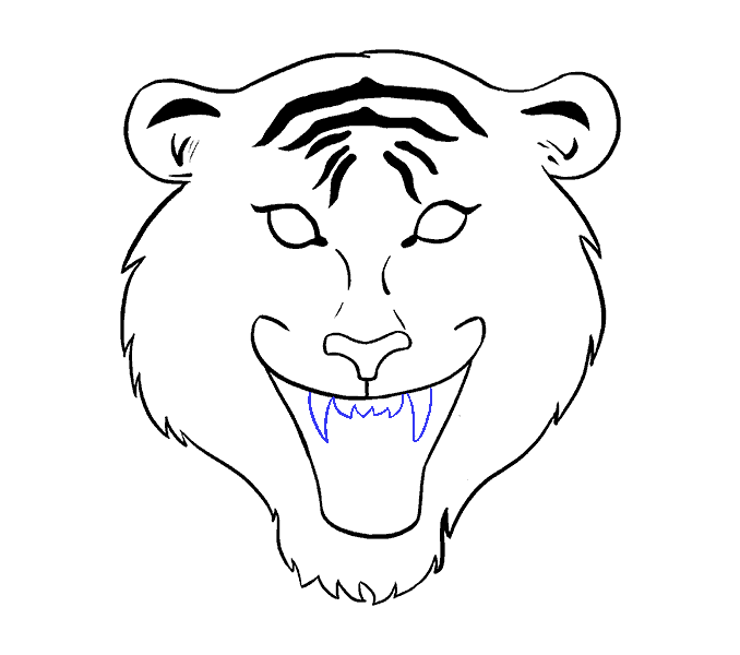 678x600 How To Draw A Tiger Face In A Few Easy Steps Easy Drawing Guides