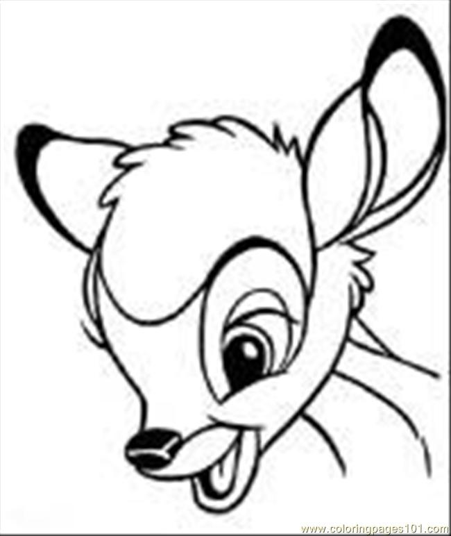 650x772 Animal Faces Coloring Pages 576898