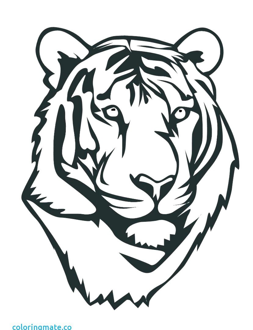 829x1080 Animal Faces Coloring Book Monkey Free Printable Pages Animals