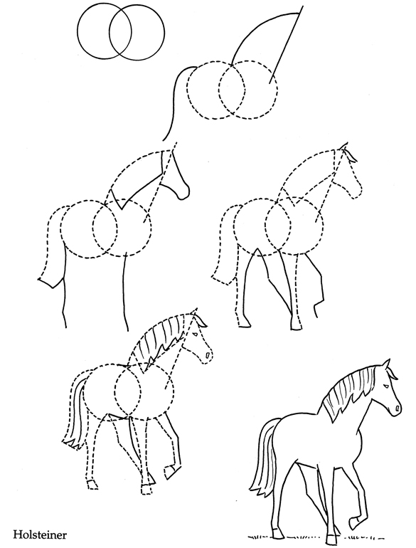 585x770 How To Draw Farm Animals Dessine Moi Un Mouton