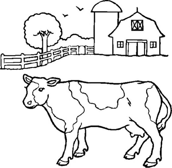 600x587 Milch Cow On Farm Animal Coloring Page Coloring Opp 2