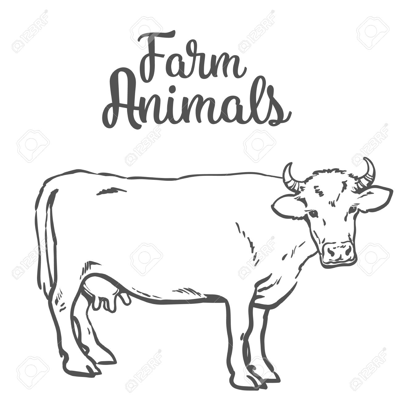 1300x1300 Sketch Of A Cow On A White Background One Isolated Hoofed Animal