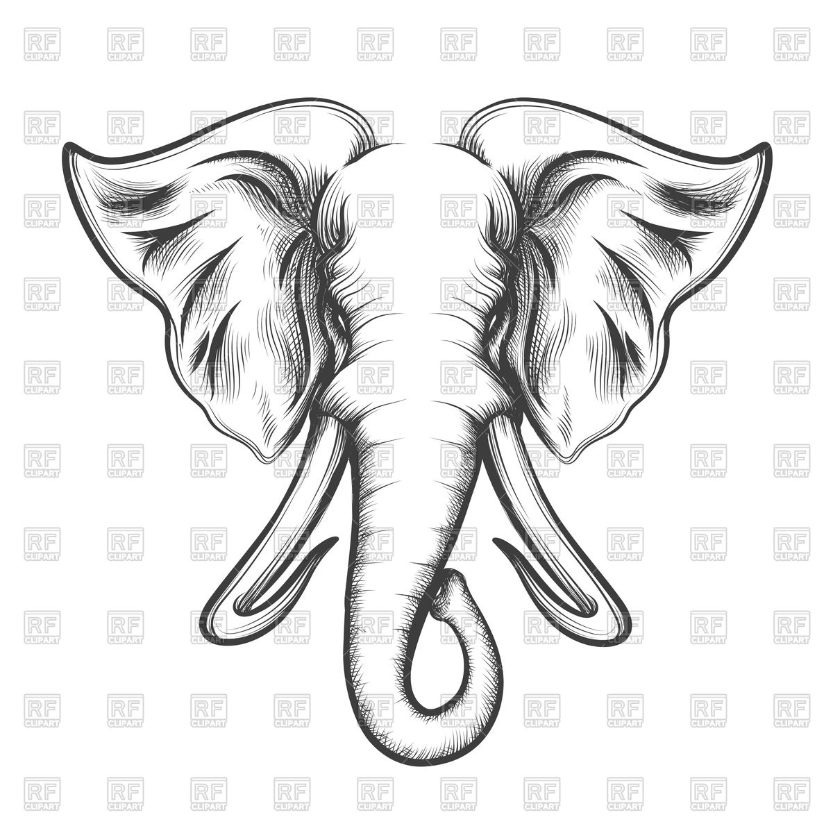 1200x1200 Elephant Head Drawn Royalty Free Vector Clip Art Image