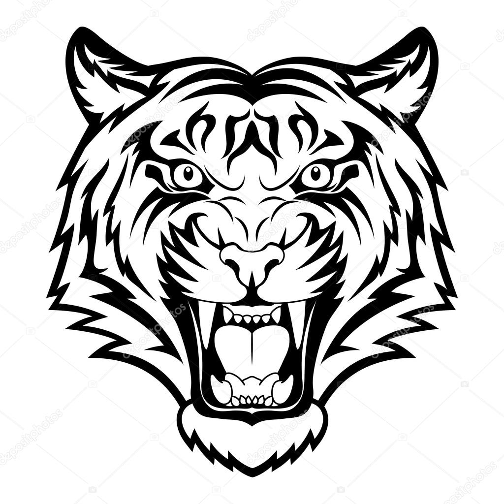 1024x1024 Roaring Tiger Head Drawing Tiger Face