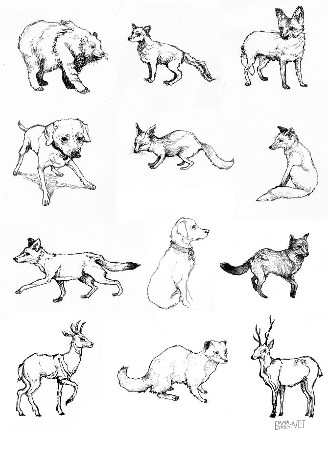 670x947 Ink Animal Drawings