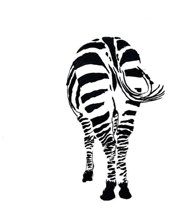 564x705 Zebra Butt Ink Sketch Ink Drawing Pen Ink Black
