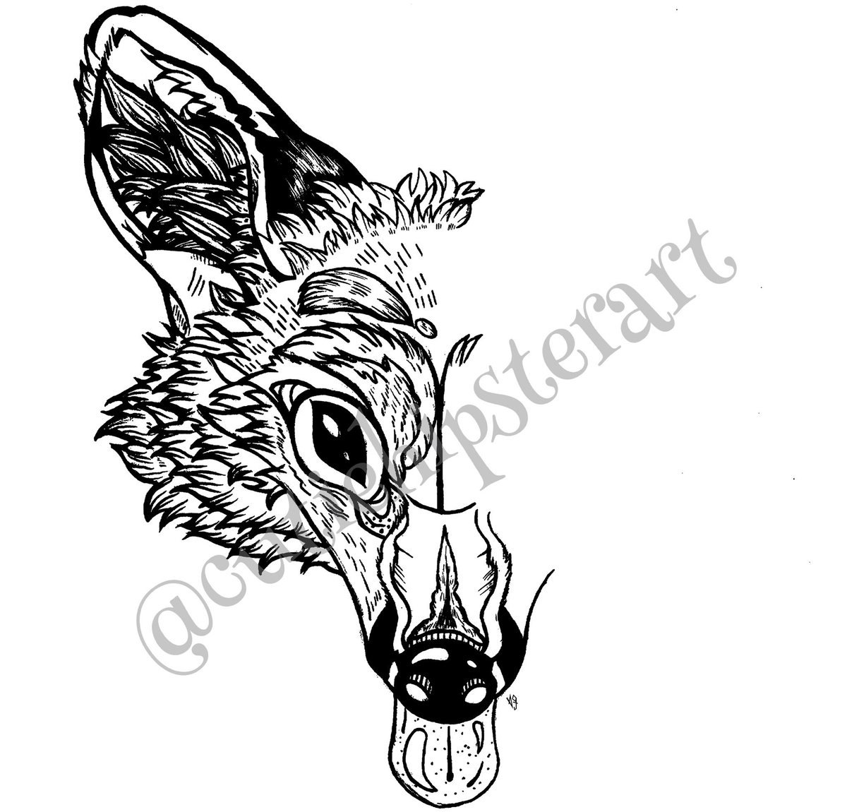 1200x1150 Amaranthia On Twitter Fox Study