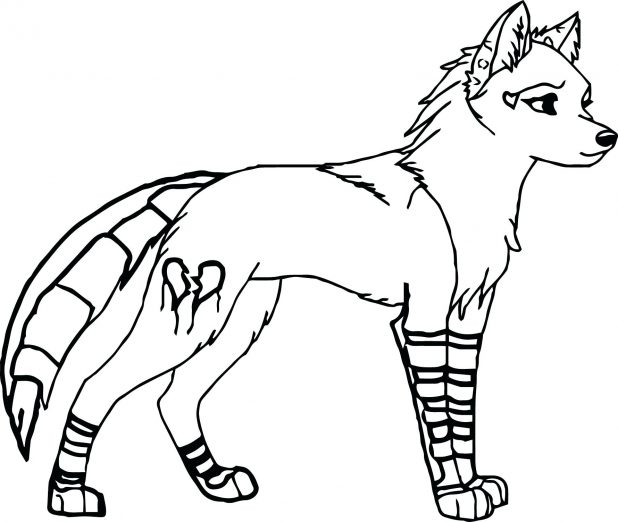 618x522 Coloring Pages Astonishing Arctic Wolf Coloring Pages. Animal Jam