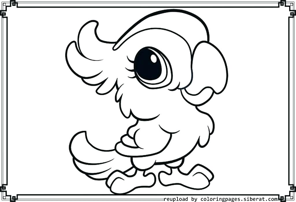1024x700 Animal Jam Coloring Pages