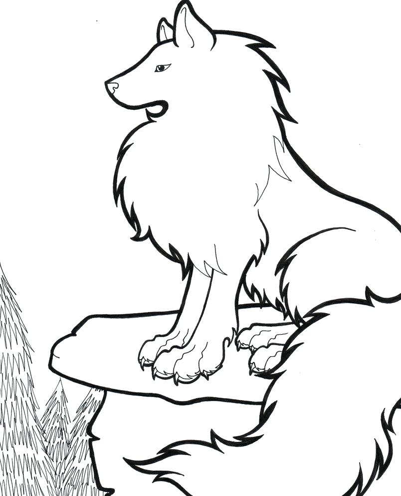 804x993 Coloring Arctic Wolf Coloring Pages Animal Jam Majestic On Sheets