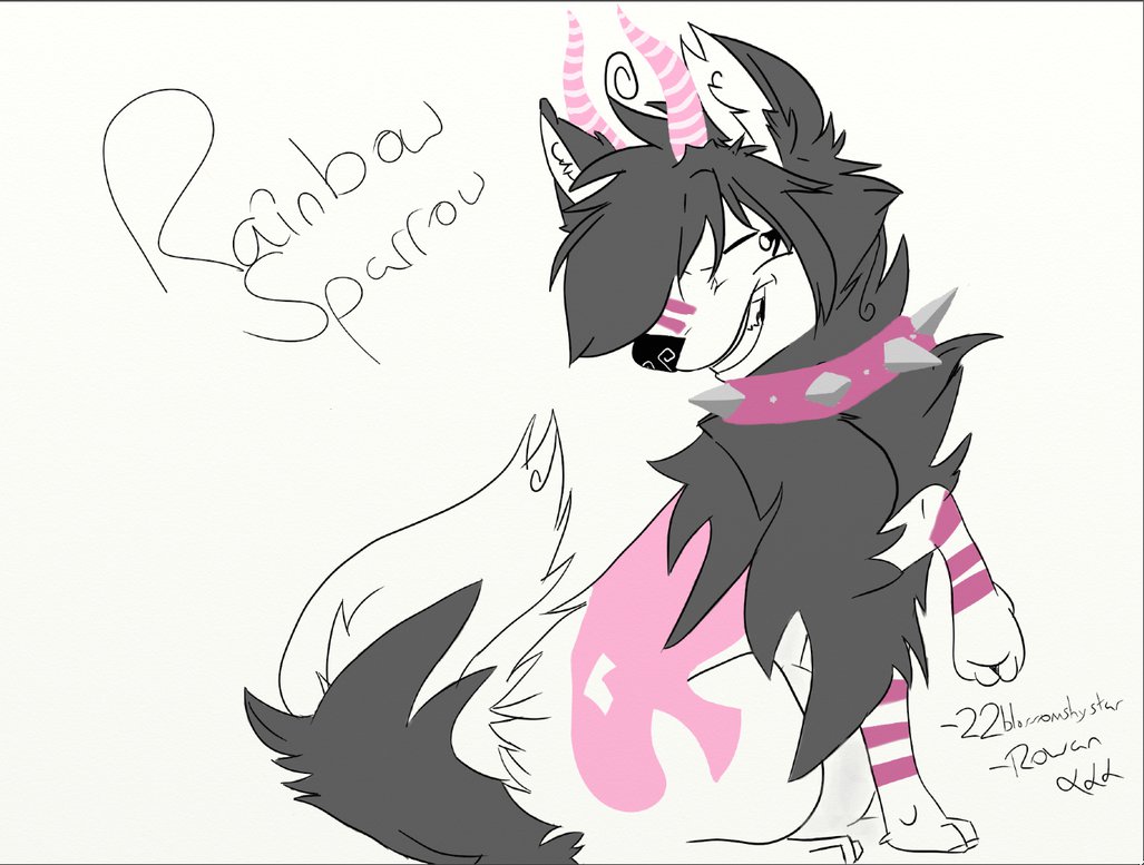 1027x777 Rainbowsparrow Animal Jam Commission By Totallynotrowan