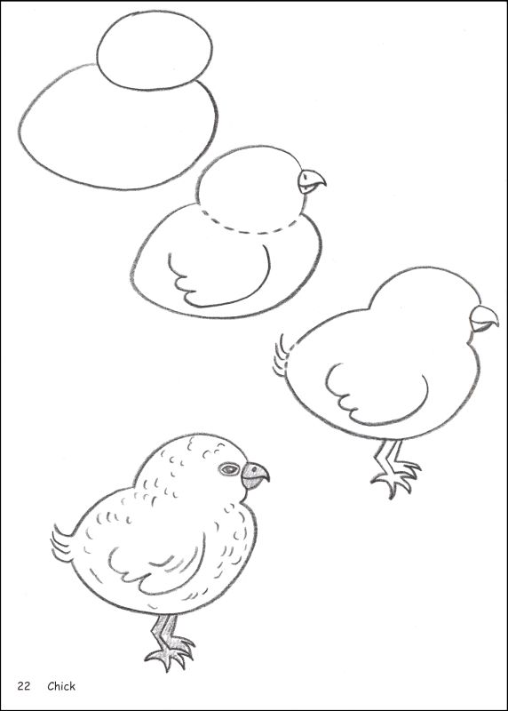 572x800 Drawing How To Draw Animal Anatomy Pdf Together With How To Draw