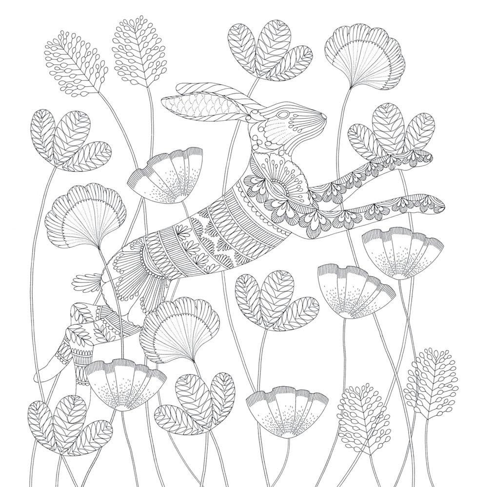 1015x1000 Animal Kingdom Color Me, Draw Me