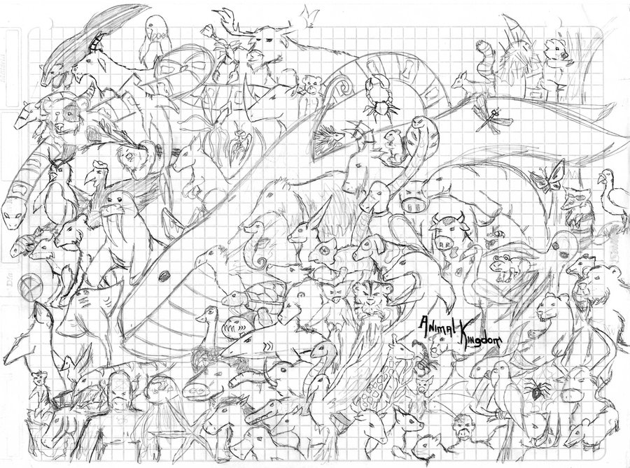 900x669 Animal Kingdom By Juan026