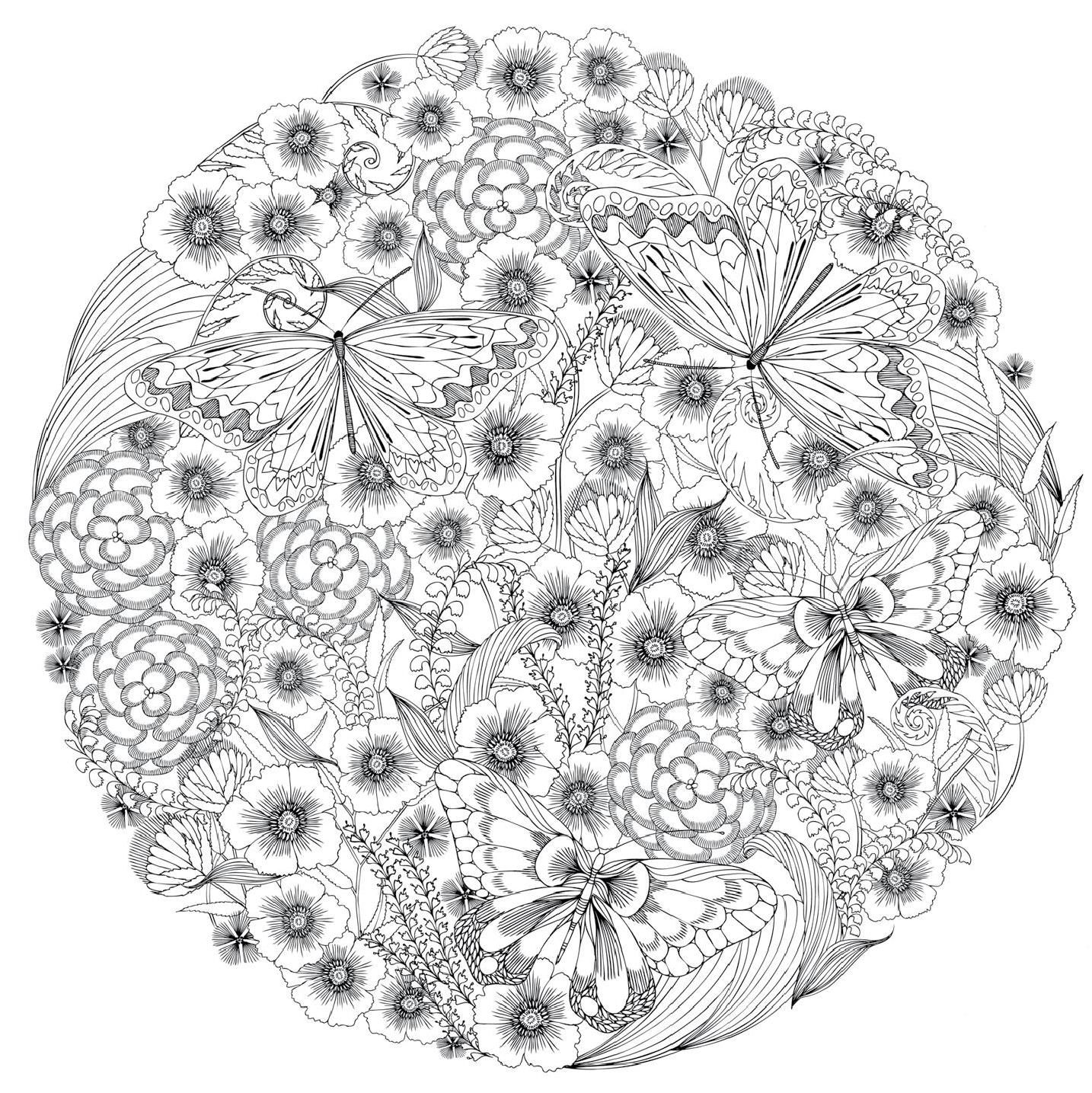 1434x1435 Millie Marotta's Animal Kingdom Sampler Animal Kingdom, Animal