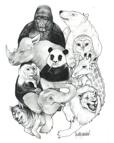 401x500 Animal Kingdom By Brittaj