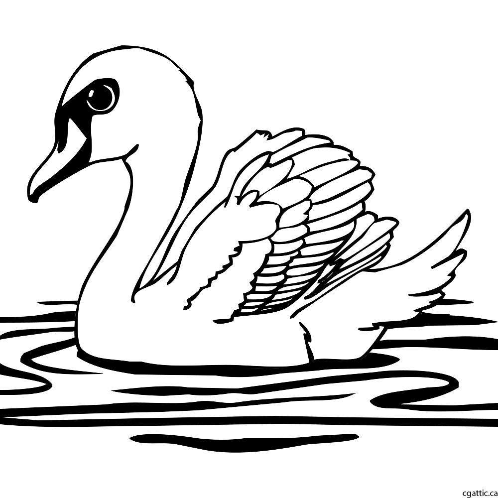 1000x1000 Cartoon Swan Drawing In 4 Steps With Photoshop Drawing Step