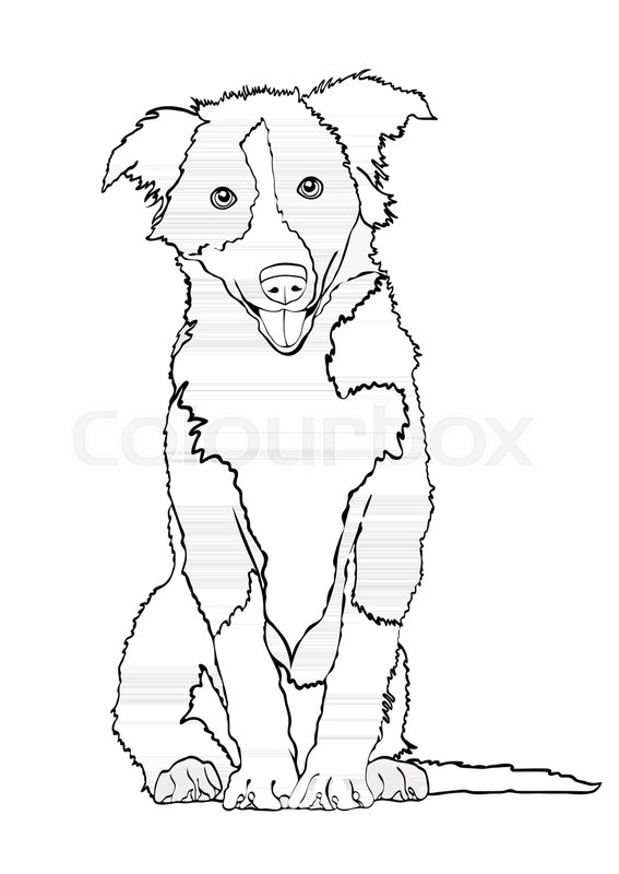 567x800 Dog Vector Outline Drawing, Sketch, Coloring Book. Black And White