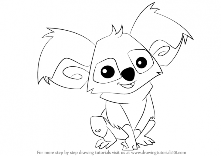 728x515 Koala Outline Drawing